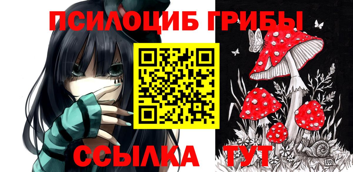 дарнет шоп  Псилоцибиновые грибы ЛСД  Вход с VPN  Асбест 