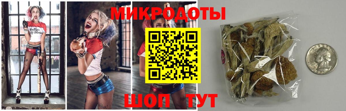 Псилоцибиновые грибы прущие грибы Асбест
